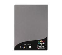 Etui de 50 feuilles Pollen 210x297mm 120g/m2 - Gris acier