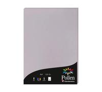 Etui de 50 feuilles Pollen 210x297mm 120g/m2 - Gris koala