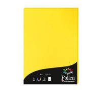 Etui de 50 feuilles Pollen 210x297mm 120g/m2 - jaune soleil