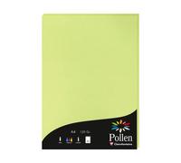 Etui de 50 feuilles Pollen 210x297mm 120g/m2 - Vert bourgeon