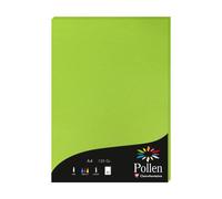 Etui de 50 feuilles Pollen 210x297mm 120g/m2 - Vert menthe
