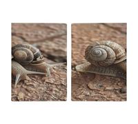 Étui de passeport à motif deux escargots - Ultra fin - En cuir synthétique - Organiseur de documents de voyage compact de qualité supérieure - Pour homme et femme