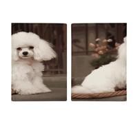 Étui de passeport caniche français ultra fin en cuir synthétique compact de qualité supérieure pour passeport international américain pour homme et femme