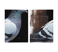 Étui de passeport de voyage en cuir imprimé loutre pour voyage, documents, cadeaux de voyage, Pigeon., 20.3x13.8cm