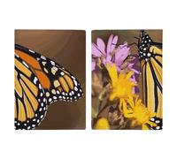 Étui de passeport en cuir avec imprimé papillon monarque pour documents, cadeaux de voyage, Papillon monarque, 20.3x13.8cm