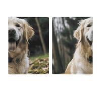 Étui de passeport en cuir pour passeport - Attrape-rêves amérindien - Livre de passeport imprimé pour documents, cadeaux de voyage, Drôle Golden Retriever, 20.3x13.8cm