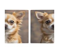 Étui de passeport mignon en cuir synthétique ultra fin pour passeport américain compact de qualité supérieure pour homme et femme