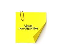 Etui Exacompta - Sachet de 10 étuis PVC 2 volets pour passeport