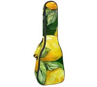 Étui pour ukulélé de concert Motif Wild West Texture sans fin Doux et épais Rembourré 10 mm d'épaisseur Rembourrage en éponge, Multicolore 05, 25.9x9x3.1in/66x23x8cm, Organiseur de sac