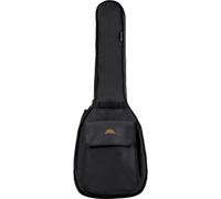 Etuis basse - AGB30BA - 15MM BASSE ACOUSTIQUE Pour basse