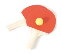 Etuis zip 2 raquettes et 2 balles