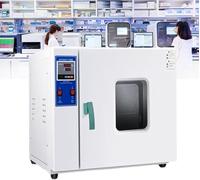 éTuve De Laboratoire à Air Pulsé 500w,éTuve De SéChage éLectrothermique,Constante éTuve De Laboratoire,BoîTe à TempéRature Constante éTuve à Circulation d'air Chaud