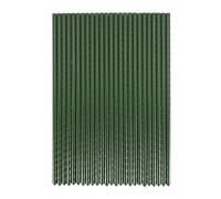 Etyrerre Paquet de 25 Piquets de Jardin en MéTal avec RevêTement en Plastique pour Plantes, Supports D'Escalade pour Tomates, Concombres, ClôTures, Haricots, 40 Cm