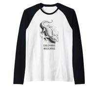 Eublepharis Macularius Leopard Gecko Art Scientifique Manche Raglan