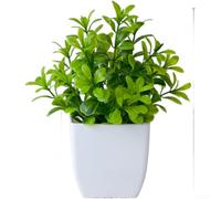 Eucalyptus artificiel en pot pour intérieur et extérieur, décoration en plastique, décoration de verdure pour la maison, le bureau, les étagères et les présentoirs de jardin (E)