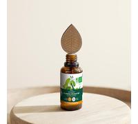Eucalyptus CITRONNÉ - Coffret Diffuseur Capilla & Huile Essentielle Bio Chémotypée - Alternative à la citronnelle - Mességué