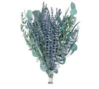Eucalyptus conservés - 27 Branches de séchées avec Une Fausse végétation parfumée, Feuilles artificielles Flocon de Paquet de Douche | Décor d'eucalyptus rafraîchissant pour Bain Spa, Routine