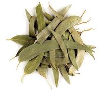 Eucalyptus Feuille Bio Tisane Infusion - Gommier Pilularis Eucalyptus Feuilles Eucalyptus Feuilles Séchées Feuille D Eucalyptus Feuilles Eucalyptus Tisane Eucalyptus Ecalyptus Feuille Eucalyptus