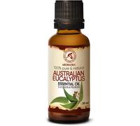 Eucalyptus Oil 100% Natural Essential Oil 30 Ml-Eucalyptus Radiata-Australia-Ideal For Beauty-Sauna-Aromatherapy-Aroma Diffuser-Fragrance Lamp-Eucalyptus Oil