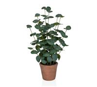 Eucalyptus - Plante artificielle Vert