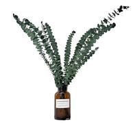 Eucalyptus pour la Douche | 10 Tiges Fleurs Séchées Composition Florale Eucalyptus | Arrangements de Fleurs Sèches en Pièce Maîtresse pour Décoration Maison Salle de Bain Salon Spa et