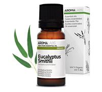 Eucalyptus Smithii BIO (Eucalyptus smithii) - 10 mL - Huile Essentielle Chémotypée et Certifiée AB - Santé respiratoire - Aroma Labs - Made in France