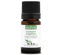 EUCALYPTUS STAIGERIANA BIO - 5mL - Huile Essentielle de Qualité Premium - 100% Pure, Naturelle, garantie ChromaCert® - Chémotypée & Intégrale