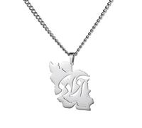 EUEAVAN Collier avec carte de l'Iran Pendentif avec drapeau iranien et calligraphie persane Bijoux patriotiques Souvenirs Souvenirs pour femmes et hommes (« آزادی » - Liberté argent)