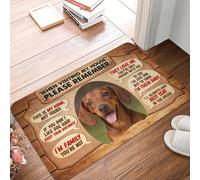 EUEKQOIB Lors de Votre Visite chez Moi n'oubliez Pas Le de Porte d'entrée antidérapant pour Chien Teckel d'entrée de Jardin et de Garage