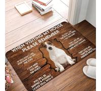 EUEKQOIB Lors de Votre Visite chez Moi n'oubliez Pas Le paillasson antidérapant pour Chien Jack Russell Terrier de Bain de Cuisine de Porte de Toilette de Sol d'entrée