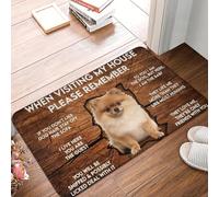 EUEKQOIB Lorsque Vous visitez ma Maison n'oubliez Pas Le Chien de Poméranie Le Sol de la Porte d'entrée Le paillasson de la Cuisine extérieure Le de la Chambre à Coucher