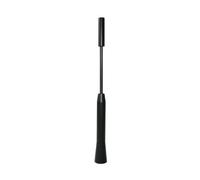 Antenne fouet Eufab 17564 aluminium noir