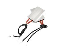 eufeifeiegds 2 éléments chauffants PTC 50 x 28,5 mm, 220 V, thermostat, plaque chauffante électrique 60/80/100/120/150 °C(220V 150C 8-23W)