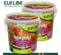 Euflor 2 x 1 kg Engrais Longue Durée Granulés Pour Plantes en Pot Jardin