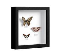 EUGAD Cadre Photo, 3D, Vitre en Acrylique avec Papier Passe-Partout, Cadre de Boîte d'Ombre pour Objets jusqu'à 3cm, en Bois, 20x20cm, Noir