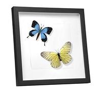 EUGAD Cadre Photo, 3D, Vitre en Acrylique avec Papier Passe-Partout, Cadre de Boîte d'Ombre pour Objets jusqu'à 1,5cm, en Bois, 30x30cm, Noir