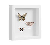 EUGAD Cadre Photo, 3D, Vitre en Acrylique avec Papier Passe-Partout, Cadre de Boîte d'Ombre pour Objets jusqu'à 3cm, en Bois, 30x30cm, Blanc