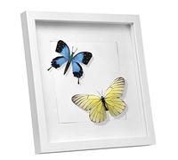 EUGAD Cadre Photo, 3D, Vitre en Verre avec Papier Passe-Partout, Cadre de Boîte d'Ombre pour Objets jusqu'à 1,5cm, en Bois, 30x30cm, Blanc
