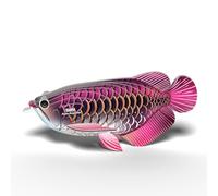 EUGY 118 Puzzle Asiatique Arowana en Papier 3D respectueux de l'environnement
