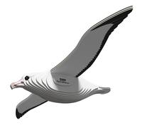 EUGY Albatros Royal - Puzzle 3D N° 007 - Jouet Créatif en Carton Recyclé - pour Enfants dès 6 Ans et Adultes Jusqu’à 99 Ans - Puzzle Éducatif et Écologique
