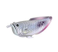 EUGY Arowana Argenté - Puzzle 3D N° 124 - Jouet Créatif en Carton Recyclé - pour Enfants dès 6 Ans et Adultes Jusqu’à 99 Ans - Puzzle Éducatif et Écologique