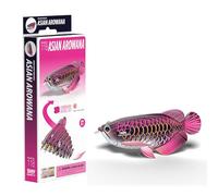EUGY Asian Arowana Kit de modélisme 3D