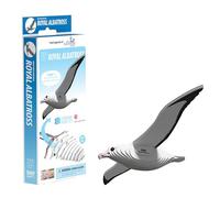 EUGY Royal Albatross Kit de modélisme 3D