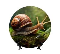 EUIYCBA Plateau esthétique en porcelaine anglaise de qualité supérieure pour décoration de chambre