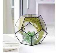 Eujgoov Geometric Glass Flowerpot, Glass Planter with Tin Frame, 18 X 18 | Pot de fleurs géométrique en verre, jardinière en verre avec cadre en étain, 18 x 18 x 15 cm pour plantes succulentes, ,