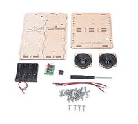 Eujgoov Kit de Bricolage de Haut-parleurs, Composite éducatif en Bois, Projet d'apprentissage Pratique pour Les 7 à 14 Ans, Amplificateur de Son Surround Stéréo Facile à Assembler