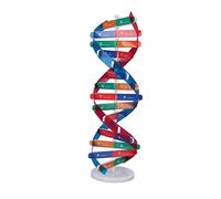 Eujgoov Kit de Modèle d'adn Bricolage Structure d'adn Humain Jouet éducatif en PVC pour Enfants Apprentissage en Classe Enseignement des Cellules de Biologie Scientifique