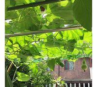 Eujgoov Net de Soutien Léger de la Plante pour l'escalade des Fruits et Légumes, du Matériau PE, 2x5m, Une et Un Rassemblement Faciles, Une économie d'espace, Idéal pour la Vigne Luffa, la