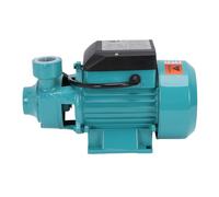 Eujgoov Pompe Centrifuge 0,5 Chevaux Pompe à Eau Auto-amorçante 36 M Haute Levée 36 LPM Débit pour Surpresseur D'eau et Irrigation Agricole