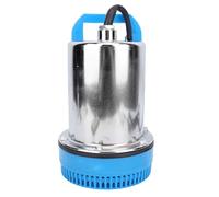 Eujgoov Pompe Submersible Solaire 180W 8m Pompe de Transfert D'eau en Acier Inoxydable avec Diamètre de Sortie de 25 Mm Longueur du Câble 2,5 M